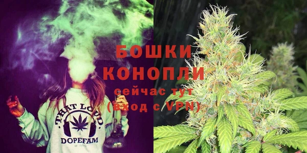 амф Верхний Тагил