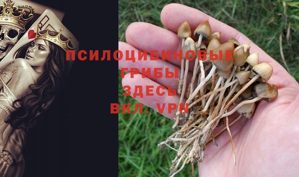 амф Верхний Тагил