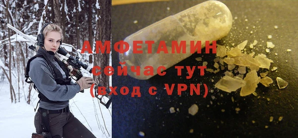 амф Верхний Тагил
