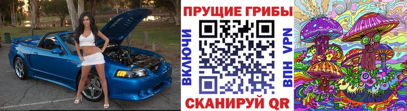 наркотики  Северодвинск  сайты даркнета официальный сайт  Галлюциногенные грибы GOLDEN TEACHER 