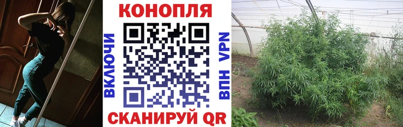 Шишки марихуана семена shop официальный сайт Северодвинск